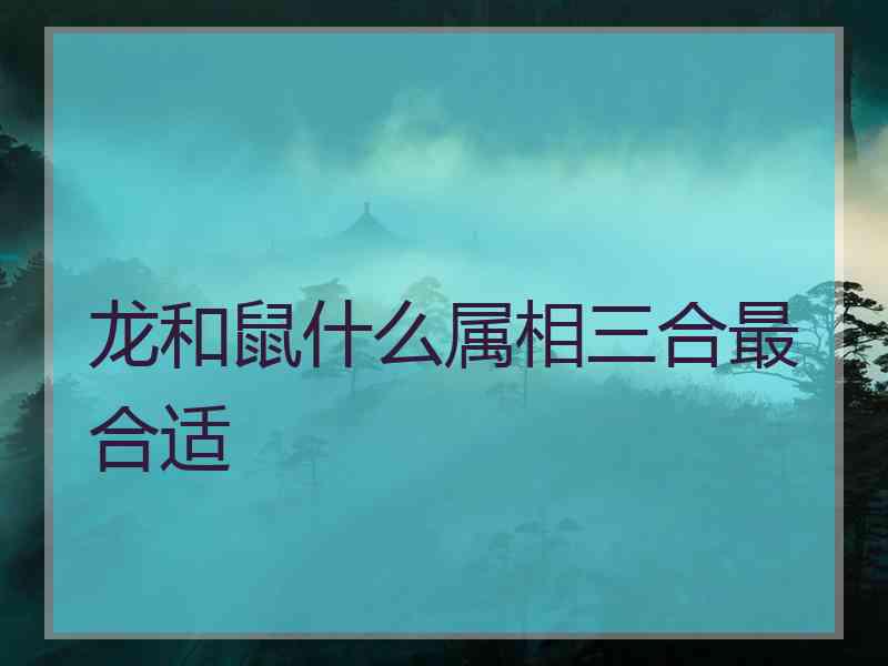 龙和鼠什么属相三合最合适