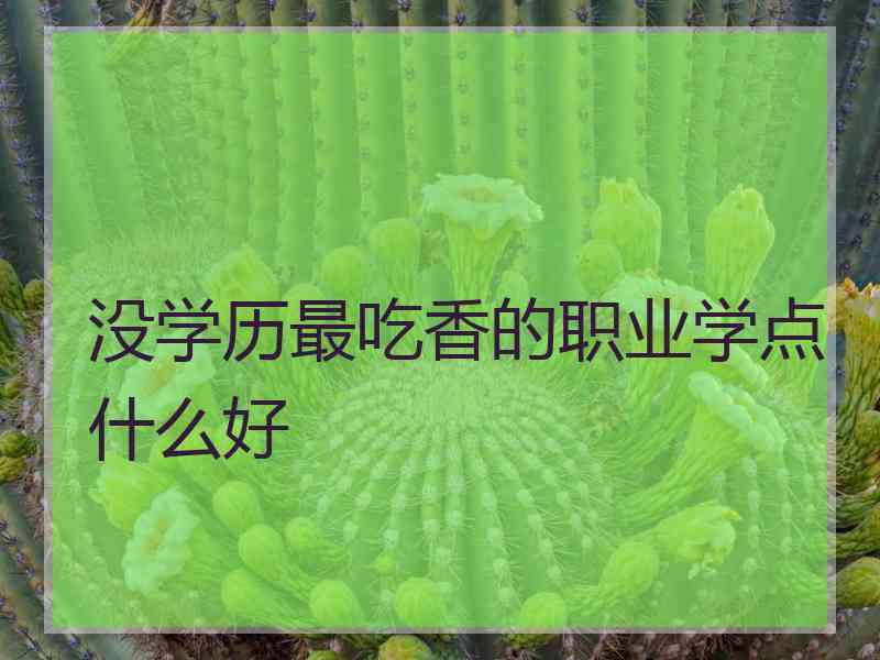 没学历最吃香的职业学点什么好