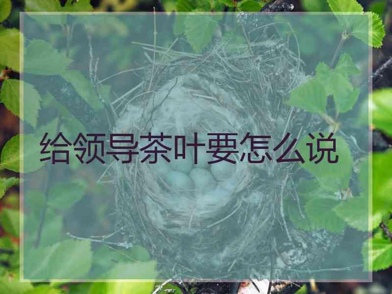 给领导茶叶要怎么说