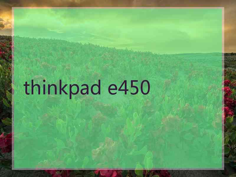 thinkpad e450