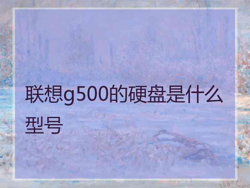 联想g500的硬盘是什么型号