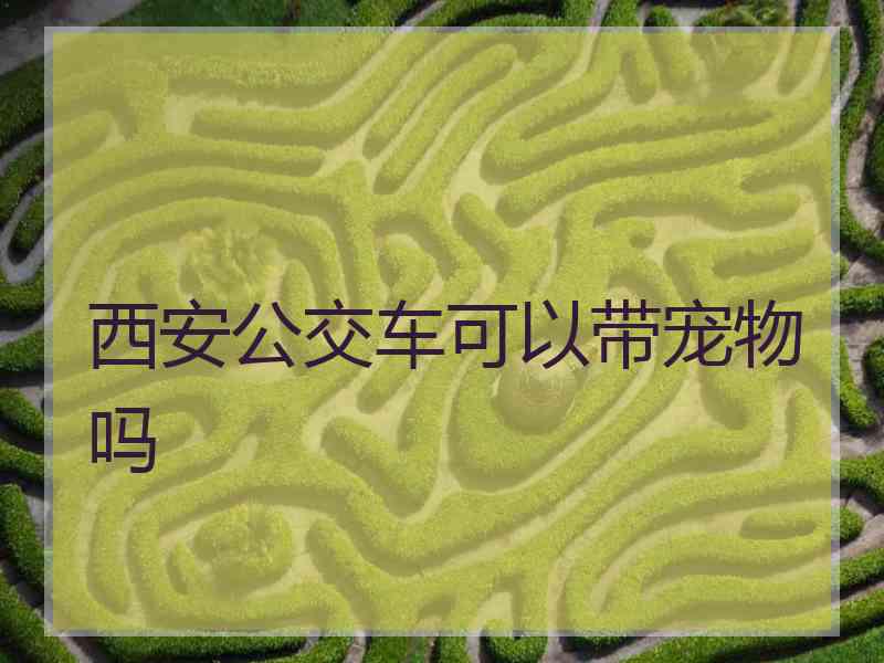 西安公交车可以带宠物吗