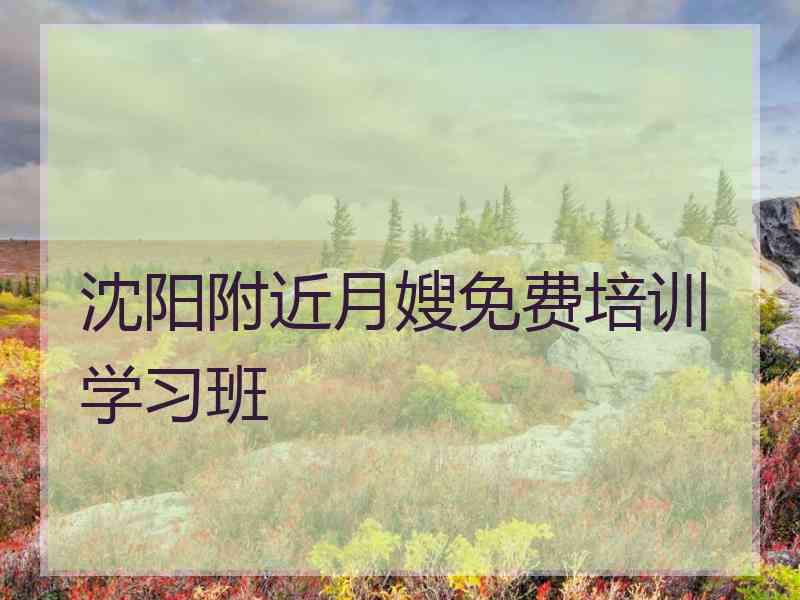 沈阳附近月嫂免费培训学习班