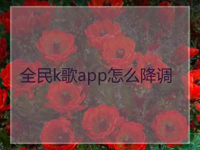 全民k歌app怎么降调