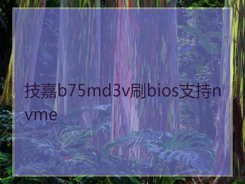 技嘉b75md3v刷bios支持nvme