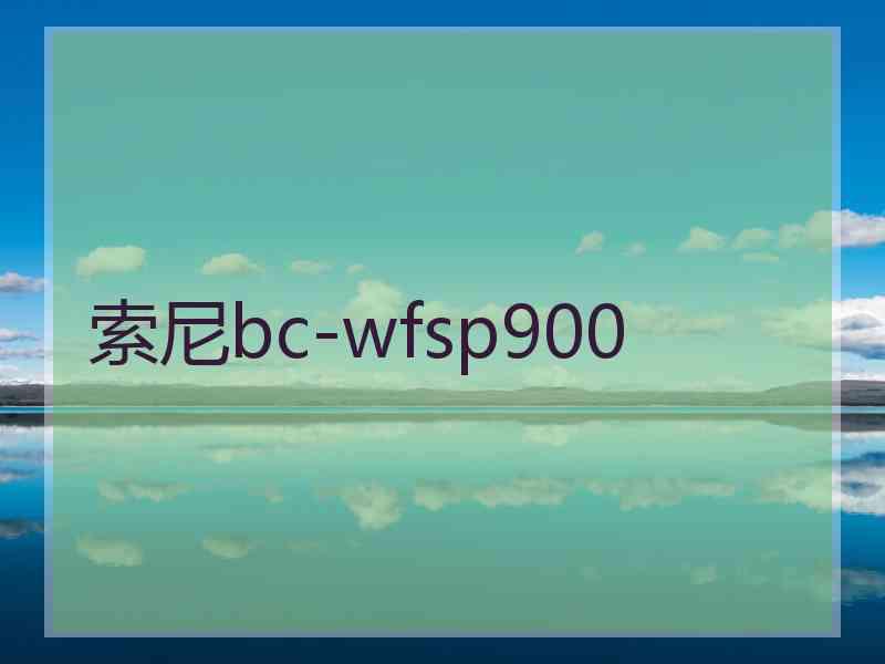 索尼bc-wfsp900