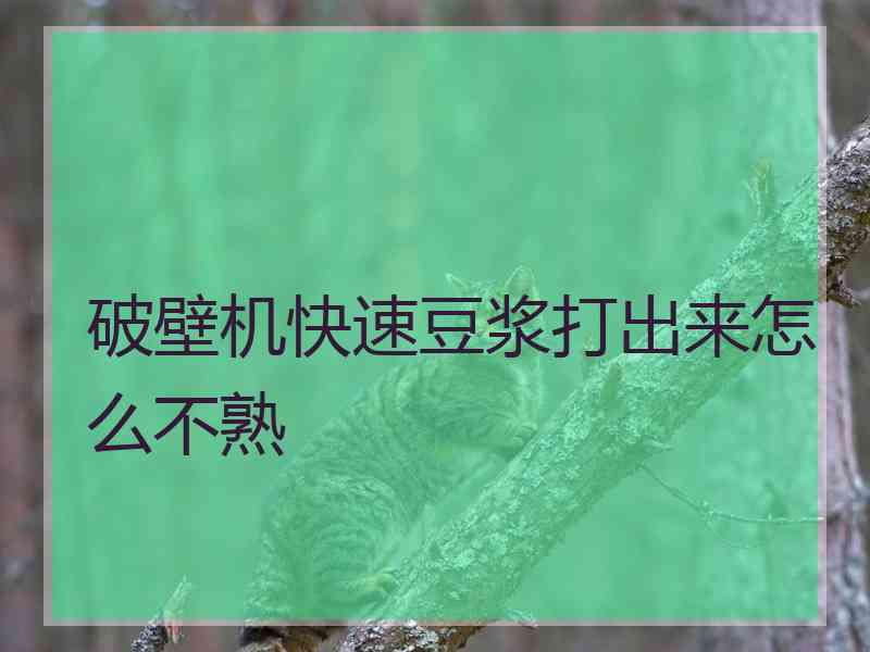 破壁机快速豆浆打出来怎么不熟