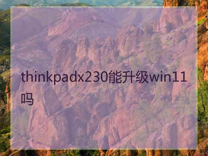 thinkpadx230能升级win11吗