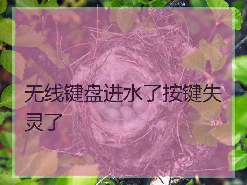 无线键盘进水了按键失灵了