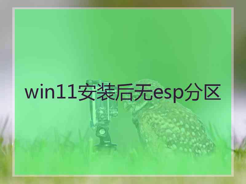 win11安装后无esp分区