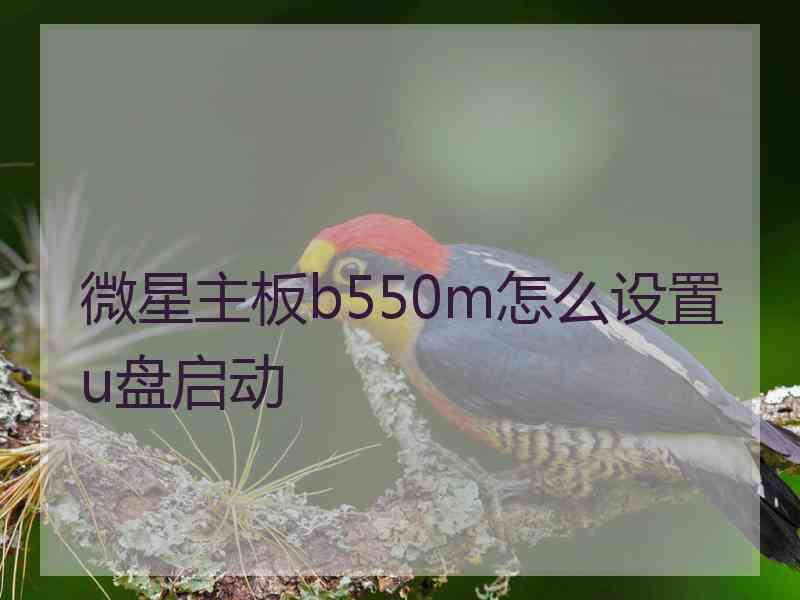 微星主板b550m怎么设置u盘启动