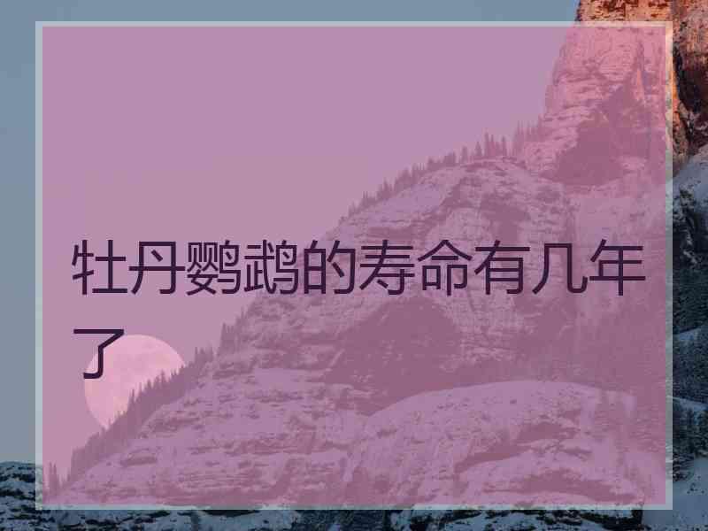 牡丹鹦鹉的寿命有几年了