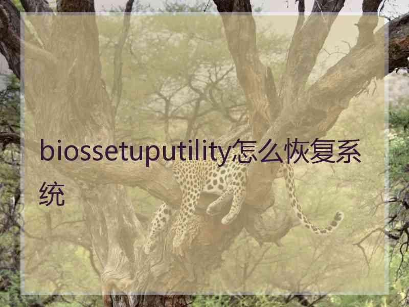 biossetuputility怎么恢复系统