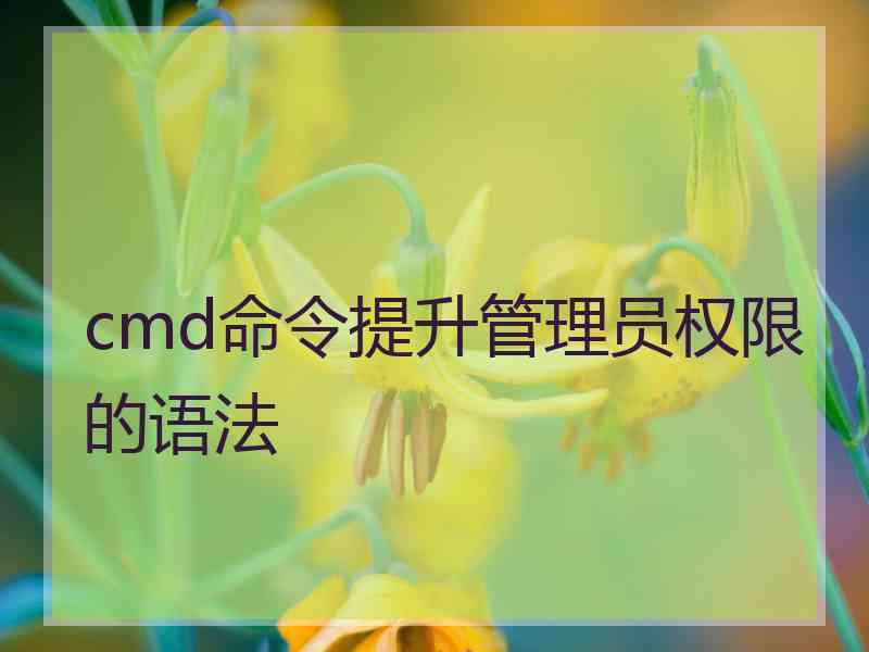 cmd命令提升管理员权限的语法