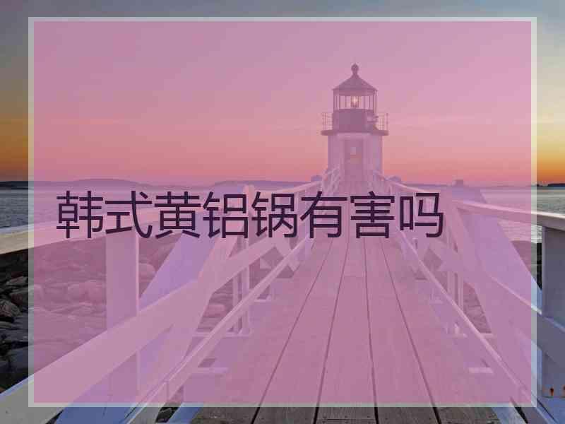 韩式黄铝锅有害吗