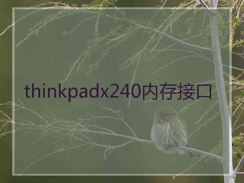 thinkpadx240内存接口