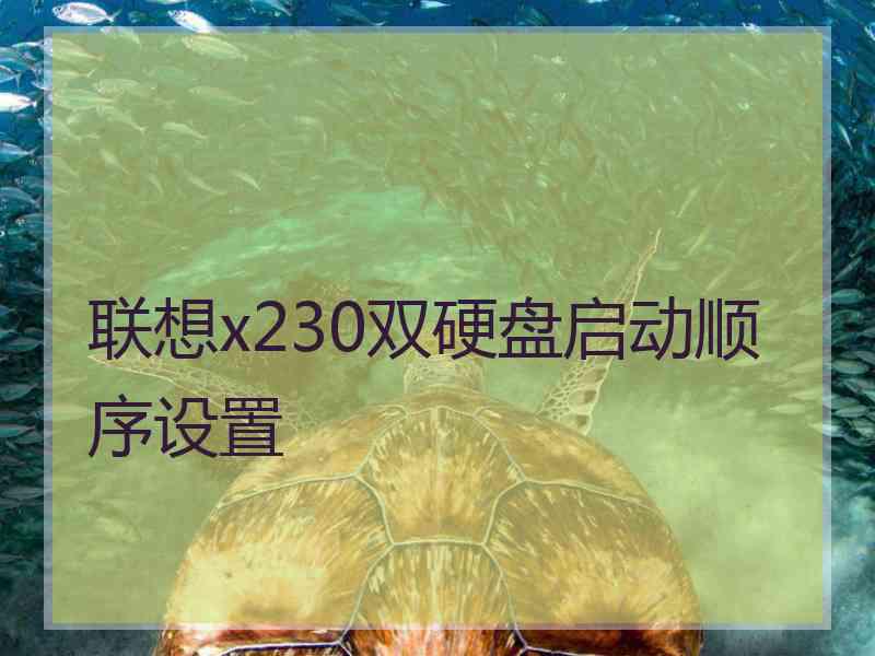 联想x230双硬盘启动顺序设置