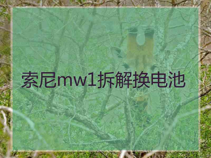 索尼mw1拆解换电池