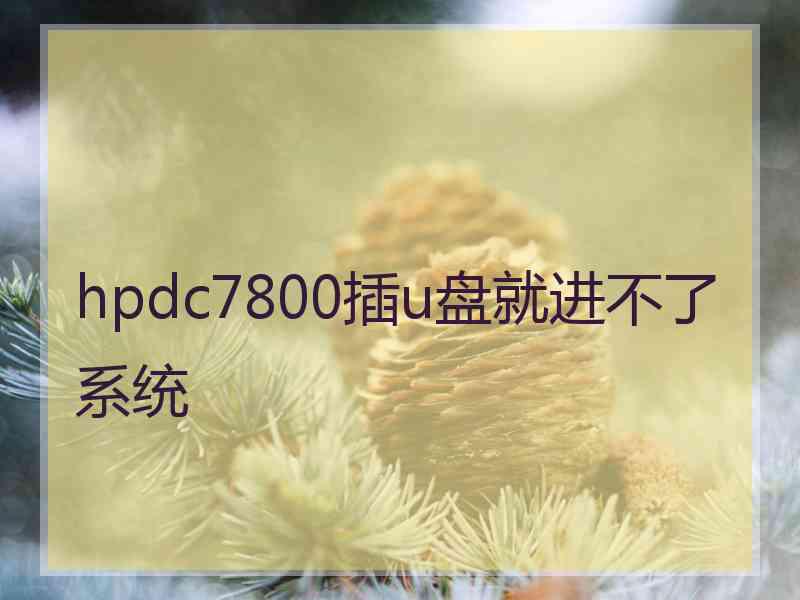 hpdc7800插u盘就进不了系统