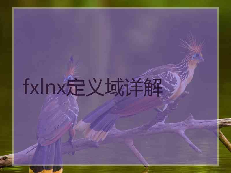 fxlnx定义域详解