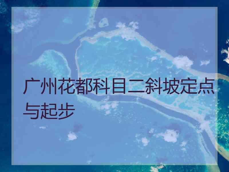 广州花都科目二斜坡定点与起步