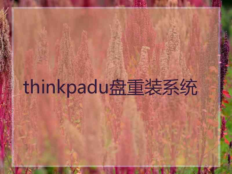 thinkpadu盘重装系统