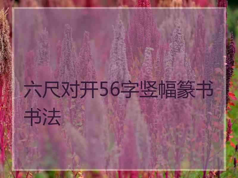 六尺对开56字竖幅篆书书法