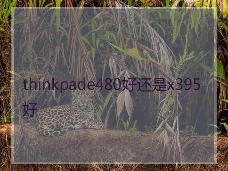 thinkpade480好还是x395好