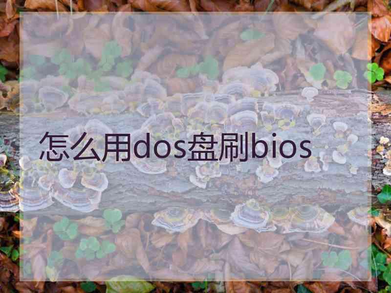 怎么用dos盘刷bios