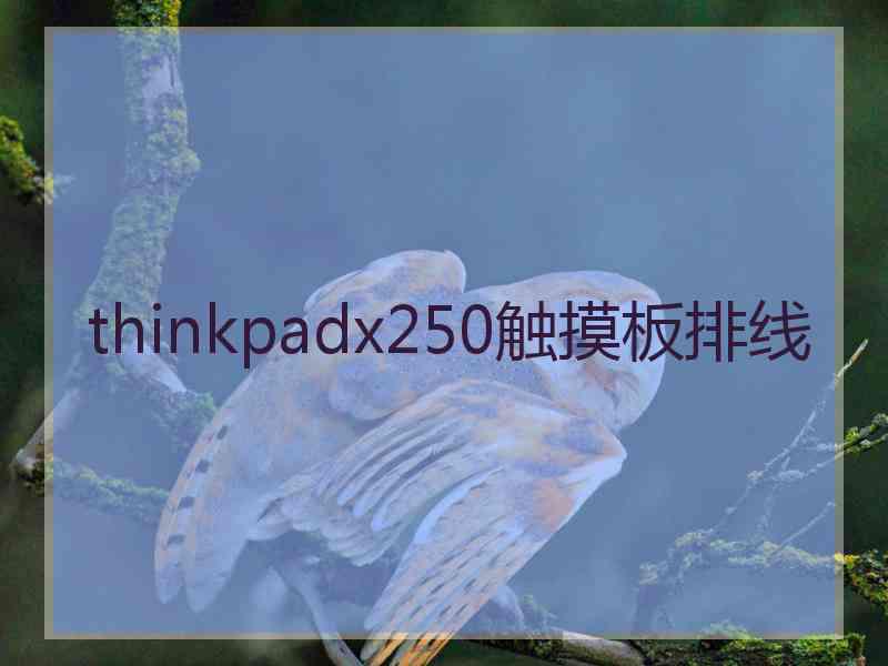 thinkpadx250触摸板排线