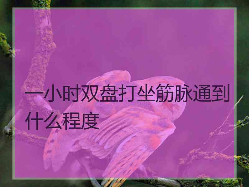 一小时双盘打坐筋脉通到什么程度