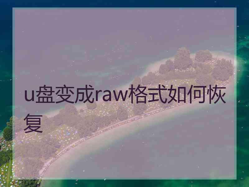 u盘变成raw格式如何恢复