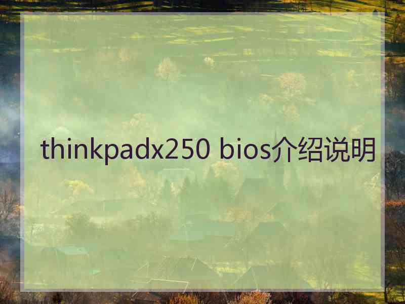 thinkpadx250 bios介绍说明