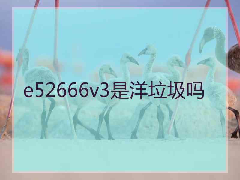 e52666v3是洋垃圾吗