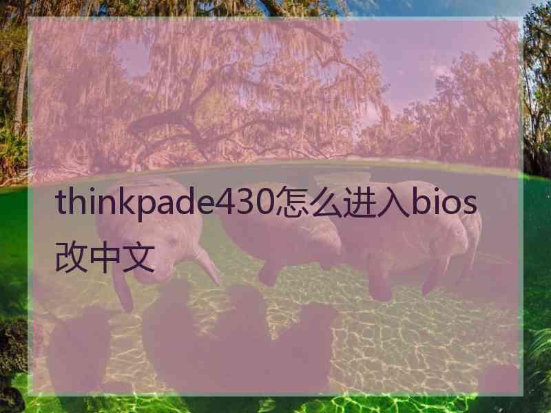 thinkpade430怎么进入bios改中文