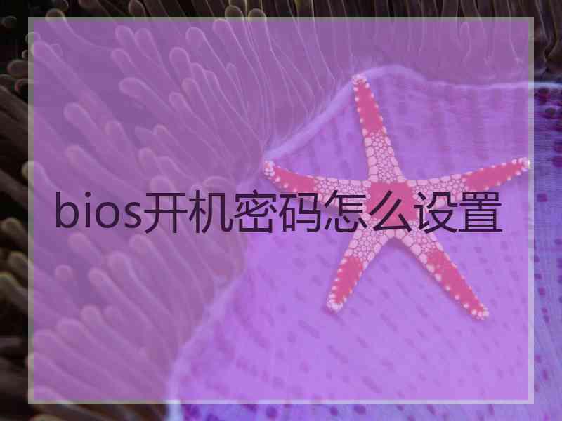 bios开机密码怎么设置