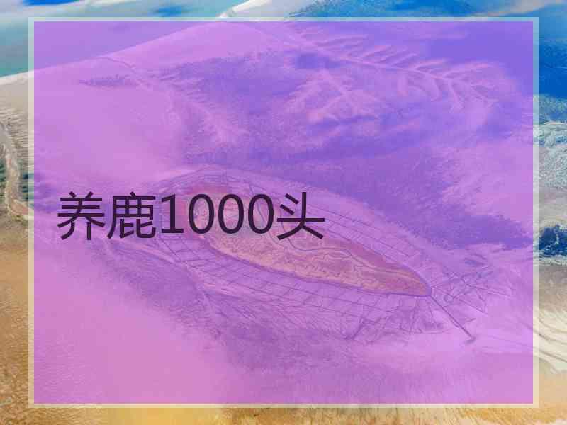 养鹿1000头