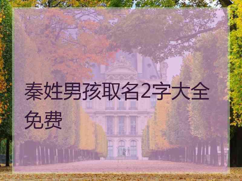 秦姓男孩取名2字大全免费