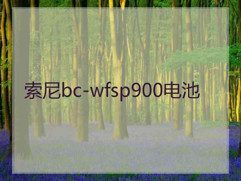 索尼bc-wfsp900电池