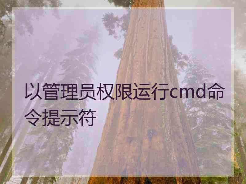 以管理员权限运行cmd命令提示符