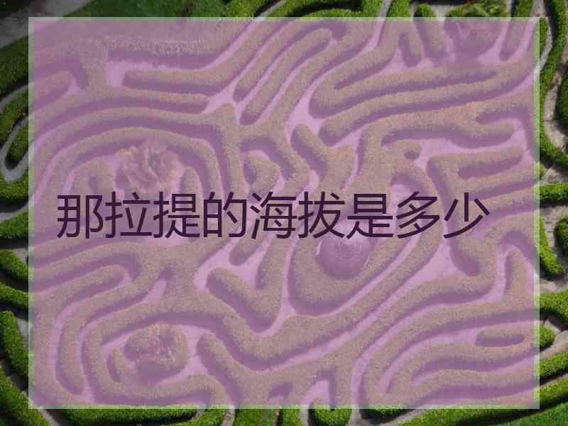 那拉提的海拔是多少