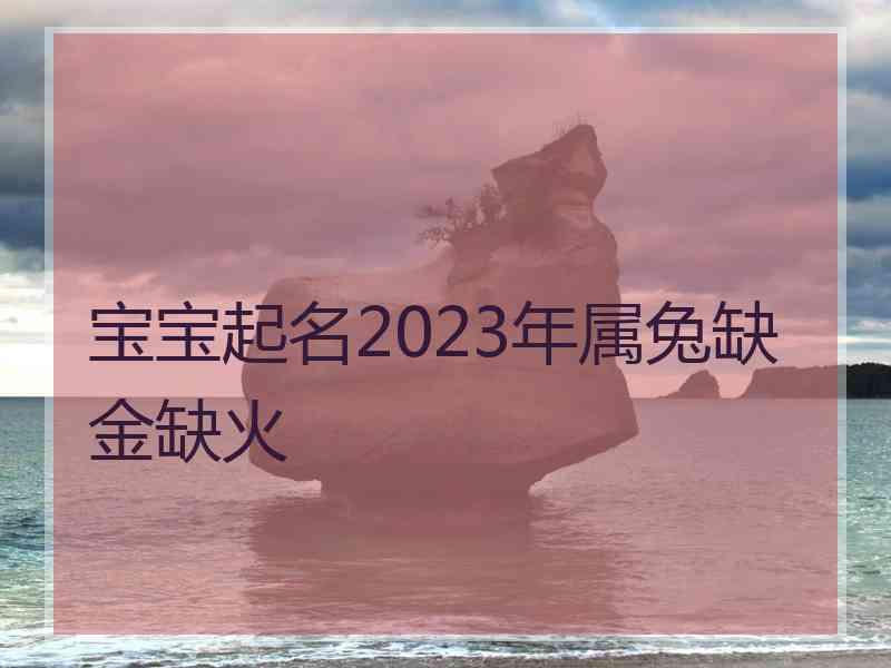 宝宝起名2023年属兔缺金缺火