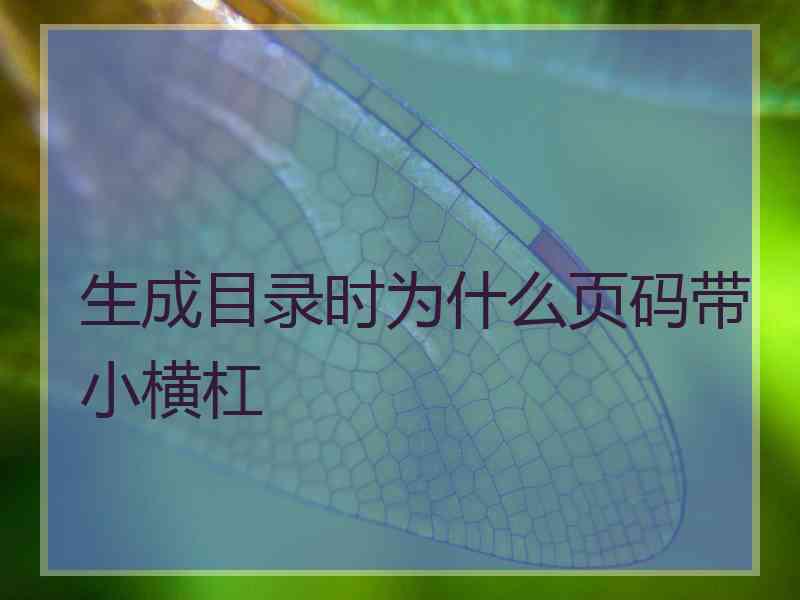 生成目录时为什么页码带小横杠