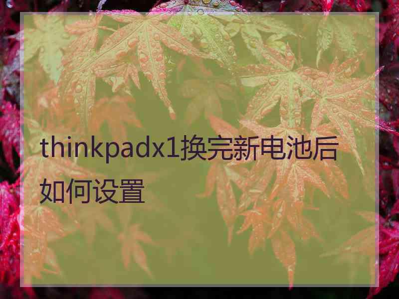 thinkpadx1换完新电池后如何设置