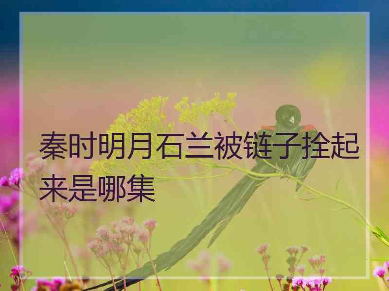 秦时明月石兰被链子拴起来是哪集