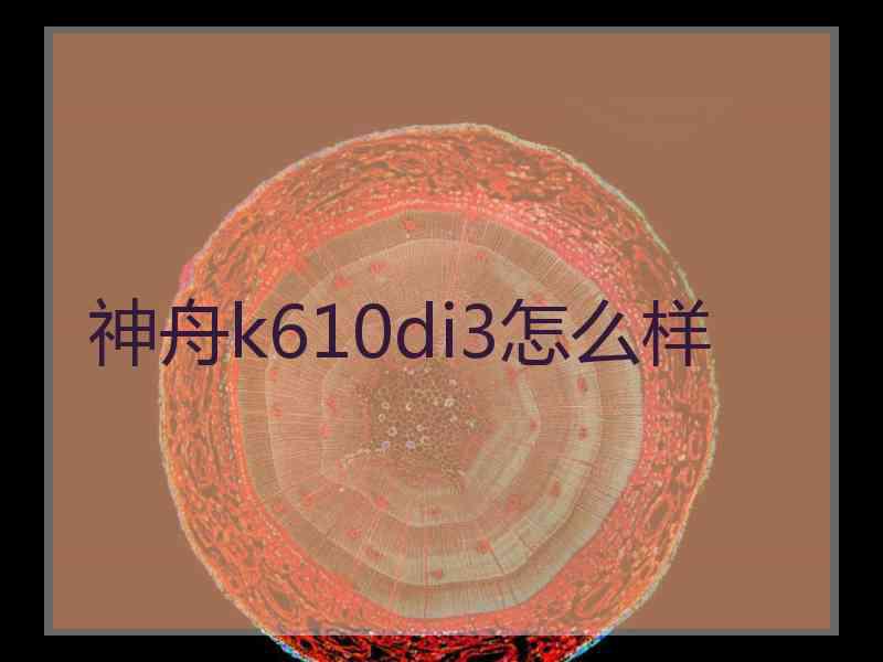 神舟k610di3怎么样