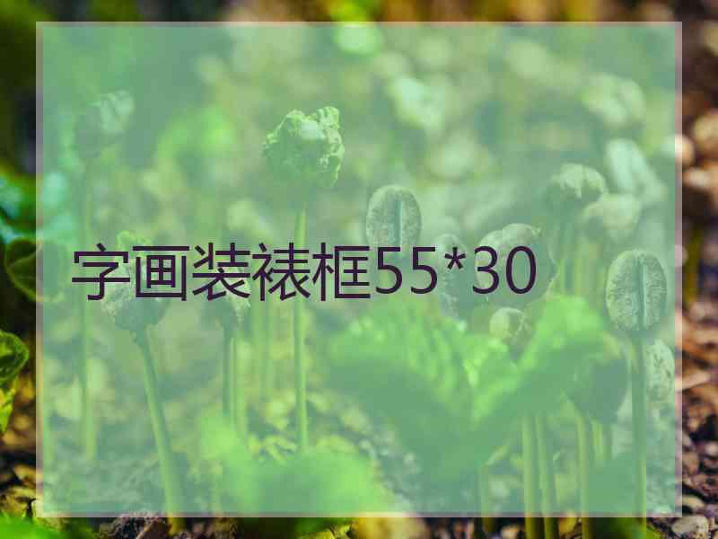 字画装裱框55*30