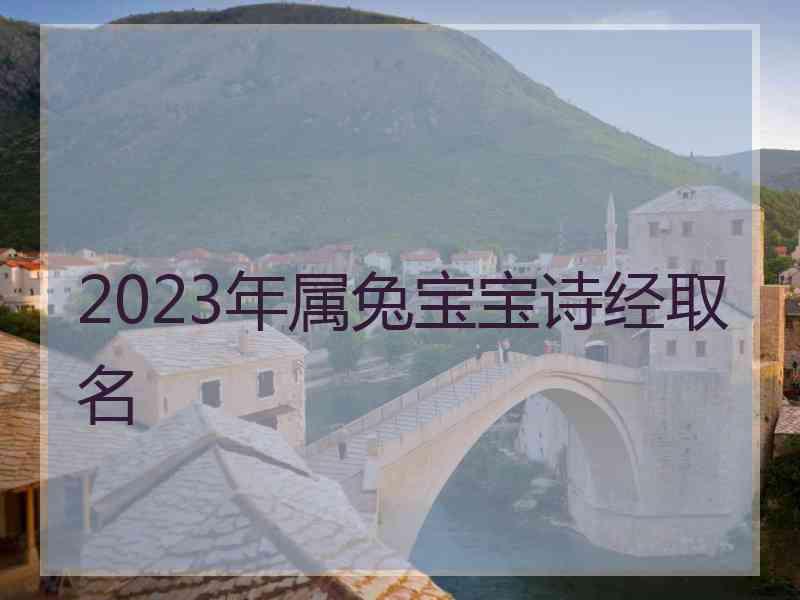 2023年属兔宝宝诗经取名