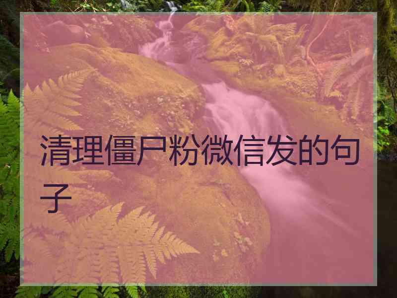 清理僵尸粉微信发的句子