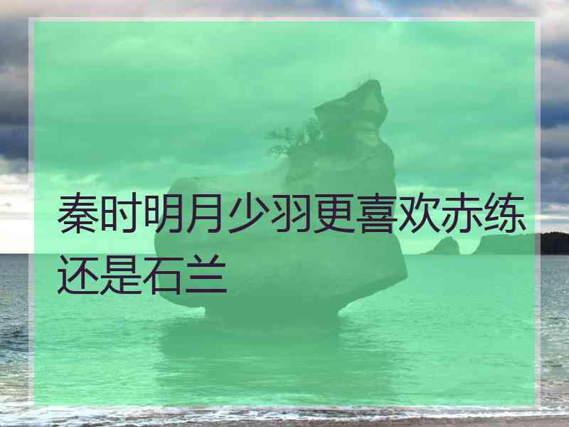 秦时明月少羽更喜欢赤练还是石兰